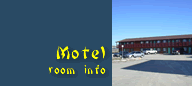Wells chinatown motel